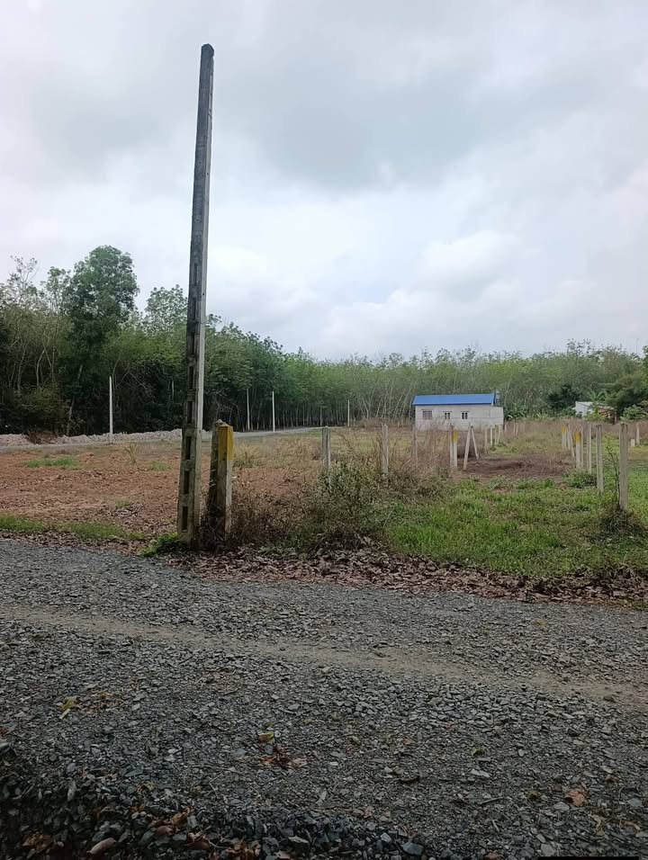 Đất nền Long Hoa, Hòa Thành, Tây Ninh 138m² - Đất thổ cư 100%