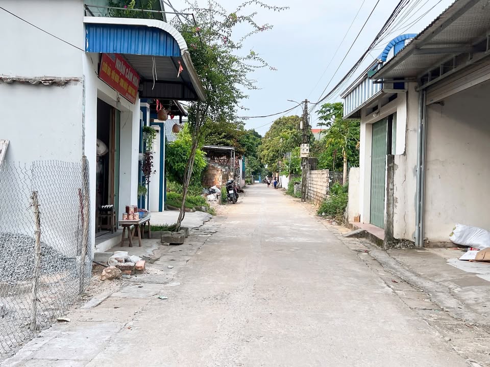 Đất nền Đông Yên Quốc Oai 196m² - Tiềm năng tăng giá!