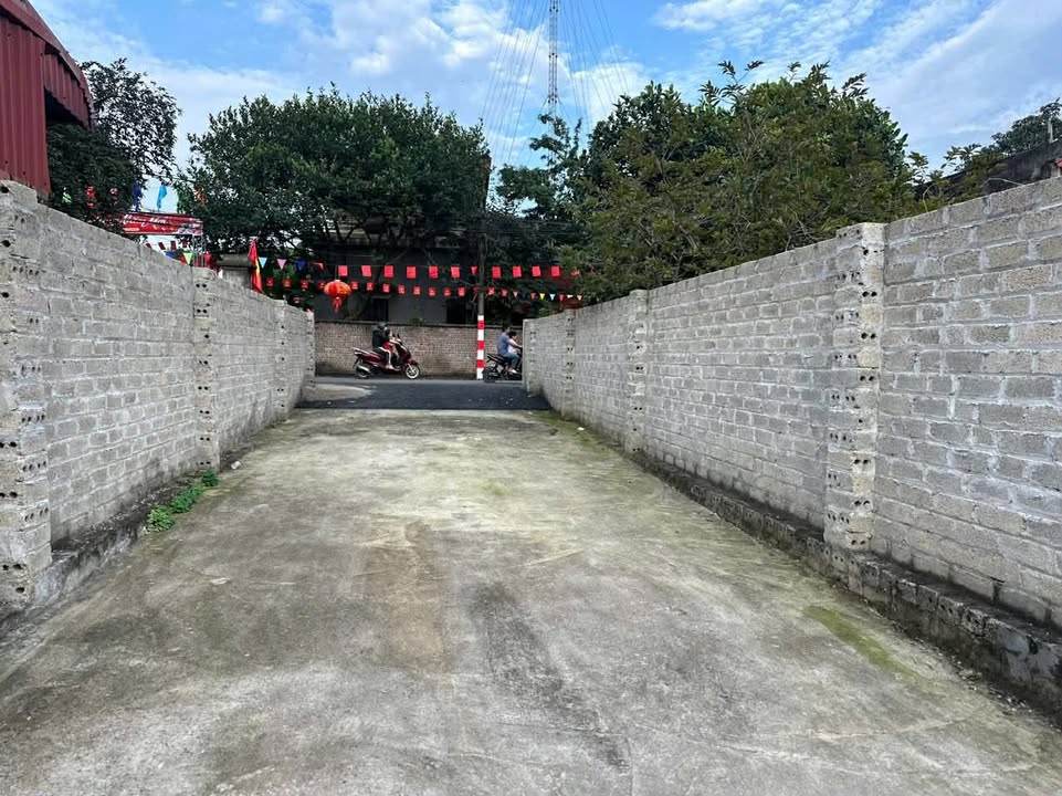 Đất nền Sơn Lộc Sơn Tây 113m² - Sổ đỏ chính chủ, tiềm năng đầu tư!