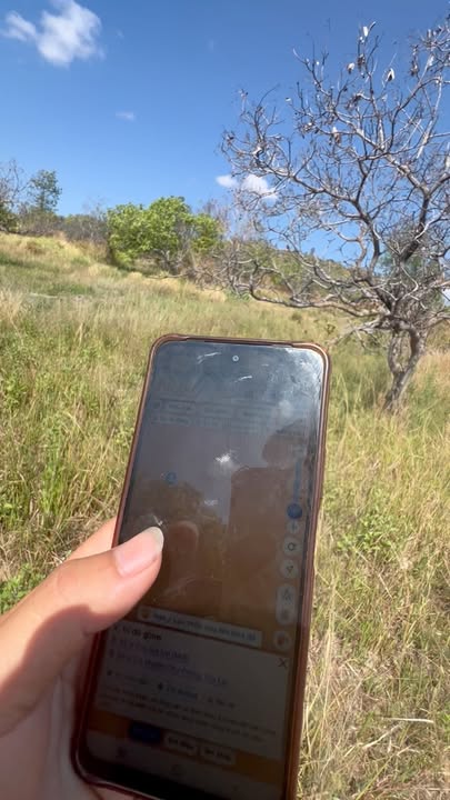 Đất Nông Nghiệp Gia Lai 10ha - Sẵn Sàng Trồng Cây Lâu Năm, Suối Mát Quanh Năm