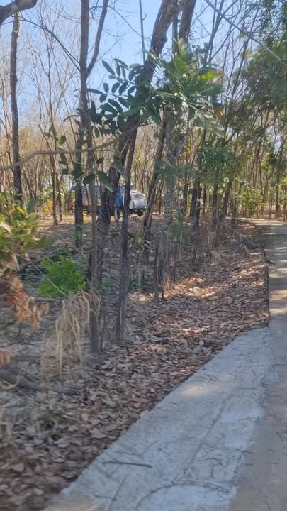 Đất Vườn 8 Sào Lộc Ninh - Giá Tốt Nhất Bình Phước