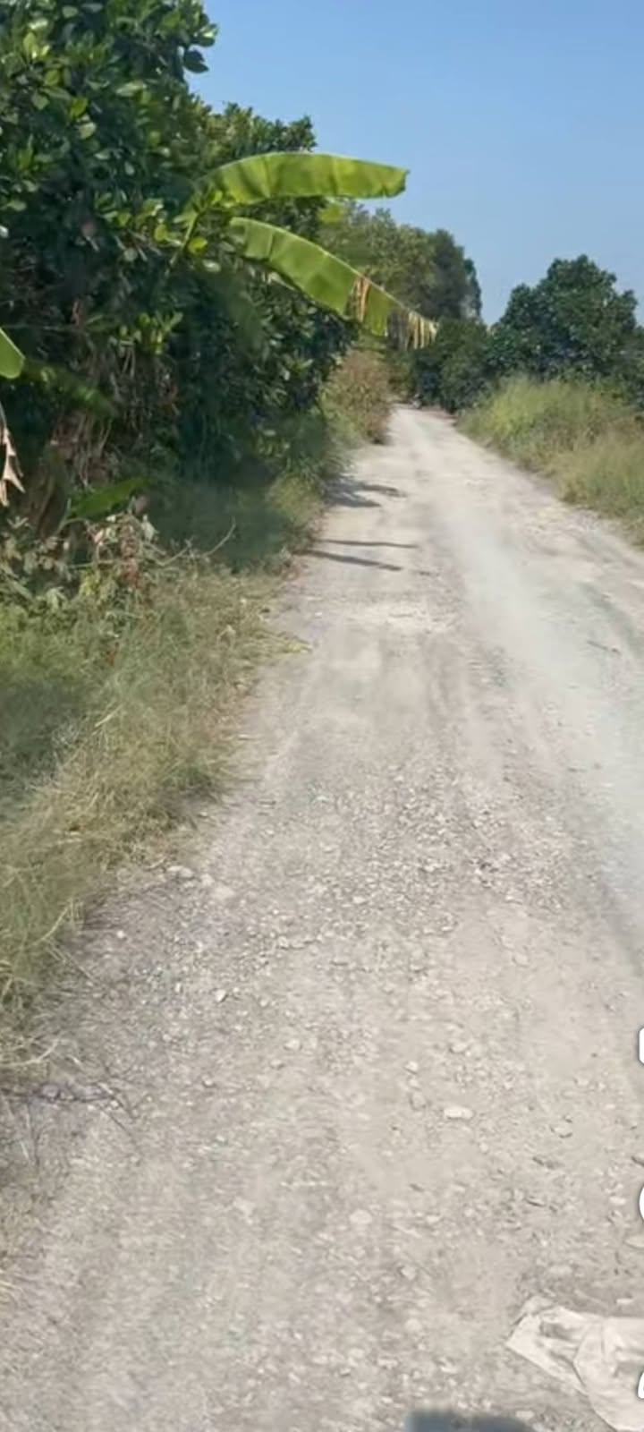 Đất Mặt Tiền HL82 Cái Bè - 675m² Sổ Đỏ Chính Chủ - Giá 730 Triệu