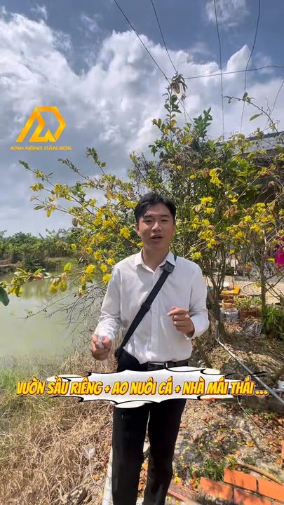 Bán Gấp Vườn Sầu Riêng 3005m² Tặng Nhà Mái Thái - Long Phước, Vĩnh Long