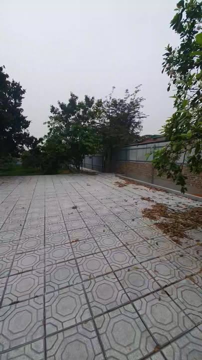 Bán Gấp Đất Vườn 7600m² Dị Nậu, Thạch Thất - Sổ Đỏ VAC Riêng