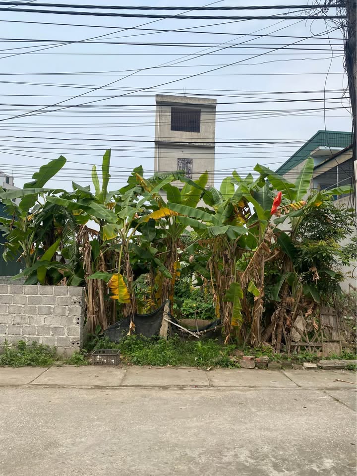 Đất Mặt Tiền Đồng Thanh, TP Thái Bình - 90m² Kinh Doanh Sầm Uất, Giá 2 Tỷ