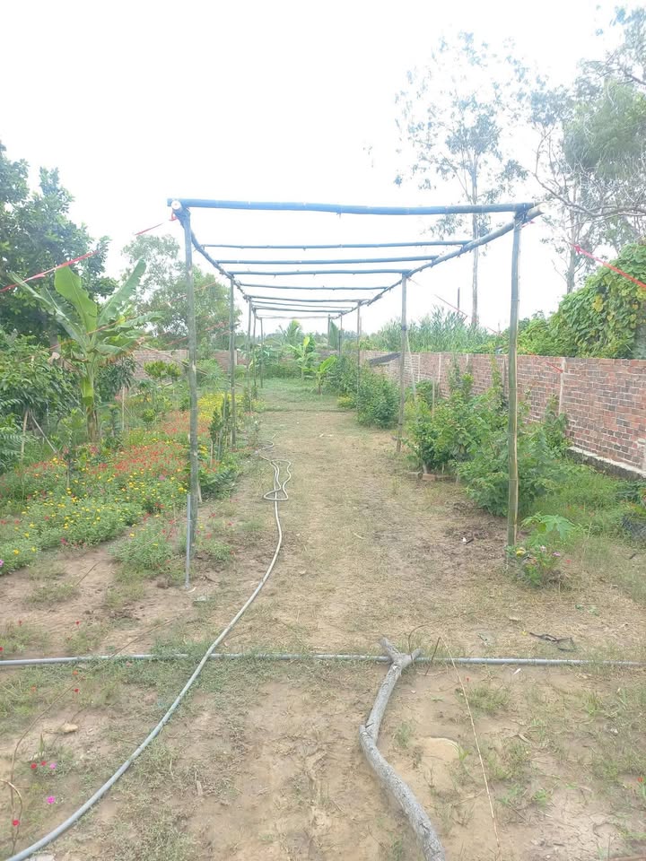 Đất nền Mỹ Hương, Mỹ Tú 360m² - Sổ đỏ chính chủ, giá tốt!