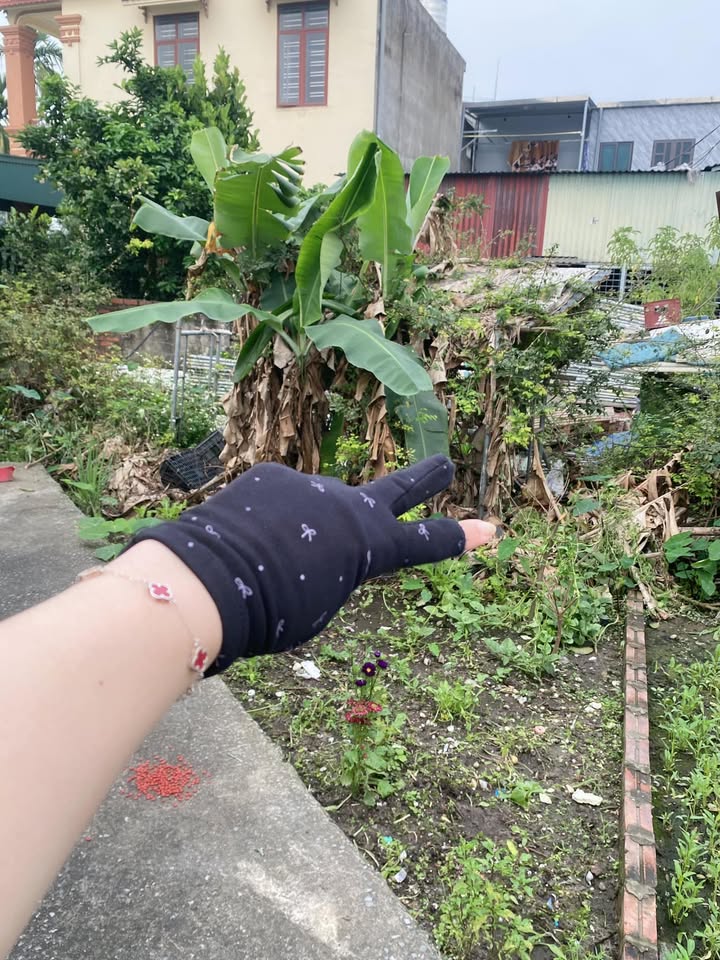 Đất nền An Lão, Hải Phòng 65.4m² - Đường to ô tô vào tận đất!