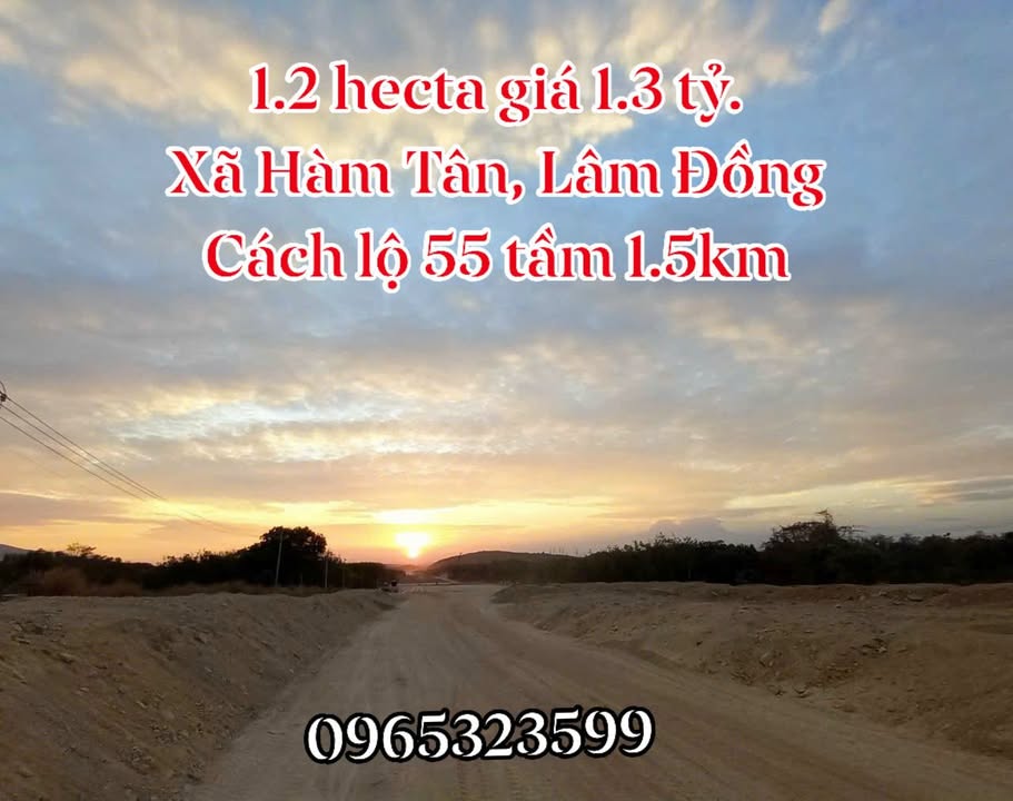 Đất nền Tân Xuân Hàm Tân 1.2ha giá 1.3 tỷ - Tiềm năng tăng giá vượt trội!