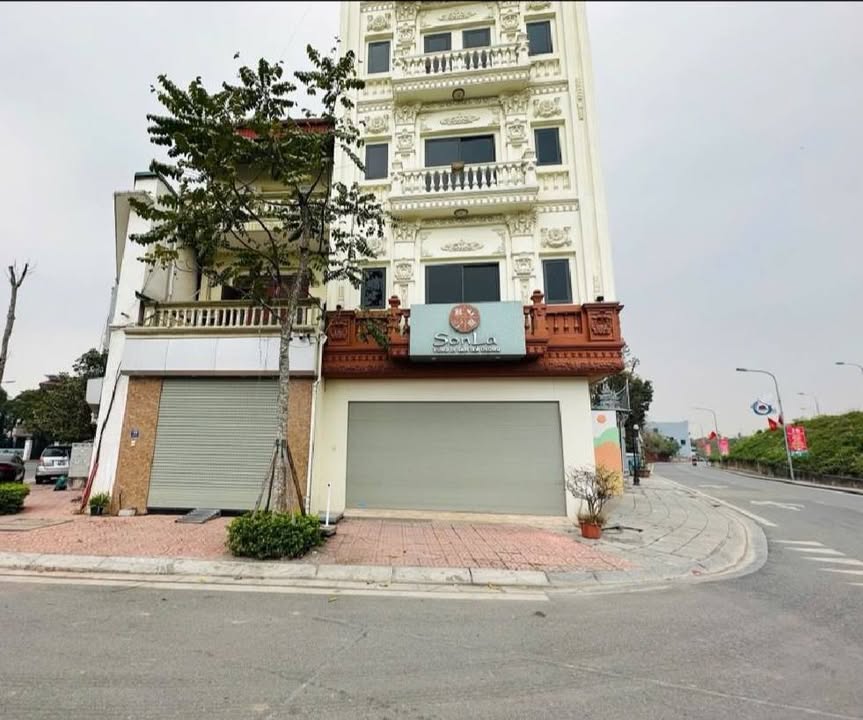 Nhà Mặt Phố Lô Góc 6 Tầng Thang Máy, Kinh Doanh Đỉnh Cao - Phúc Lợi, Long Biên