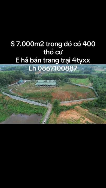 Bán Trang Trại Heo 7000m² Lương Sơn, Phú Thọ - Hơn 4 Tỷ
