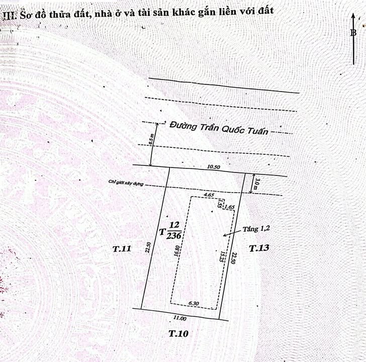 Nhà Mặt Tiền Trần Quốc Tuấn, Huế - 236m² Thổ Cư, Kinh Doanh Đắc Lợi