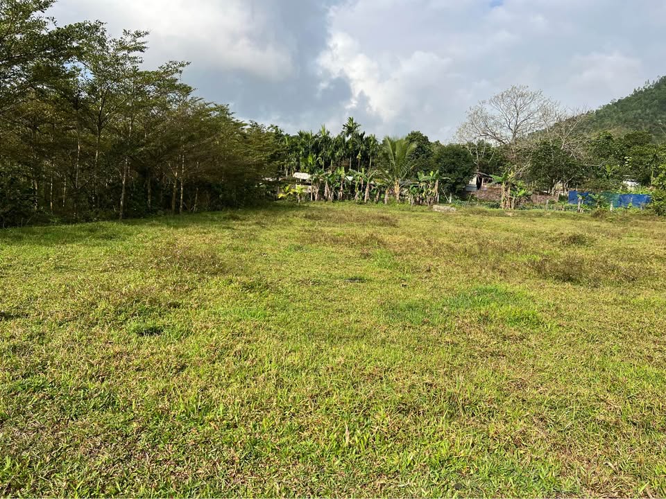 Bán 500m² Đất Vườn Tổ Đại La, Đà Nẵng - Gần Bà Nà Suối Mơ