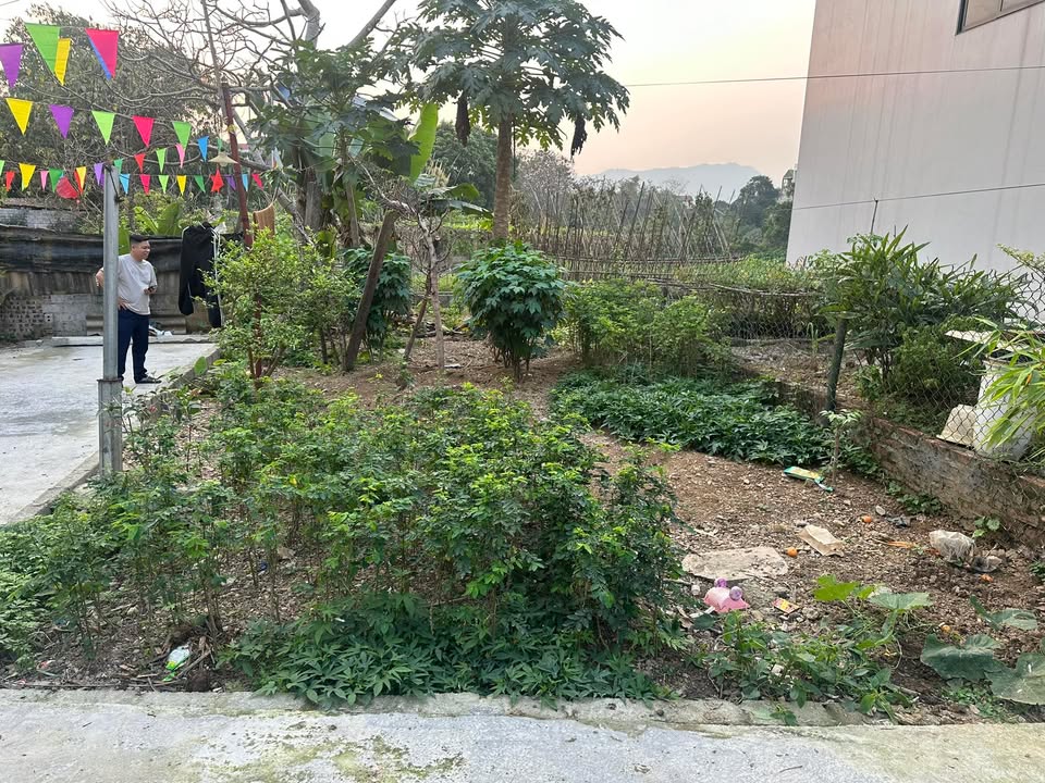 Đất Lô Góc Kinh Doanh 80m² Xuân Mai - Sổ Đỏ Chính Chủ, Giá 2 Tỷ