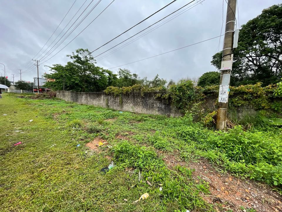 Đất Đường Lý Thánh Tông Đồng Hới 264m² – Đường to ô tô, xây kho ngay!