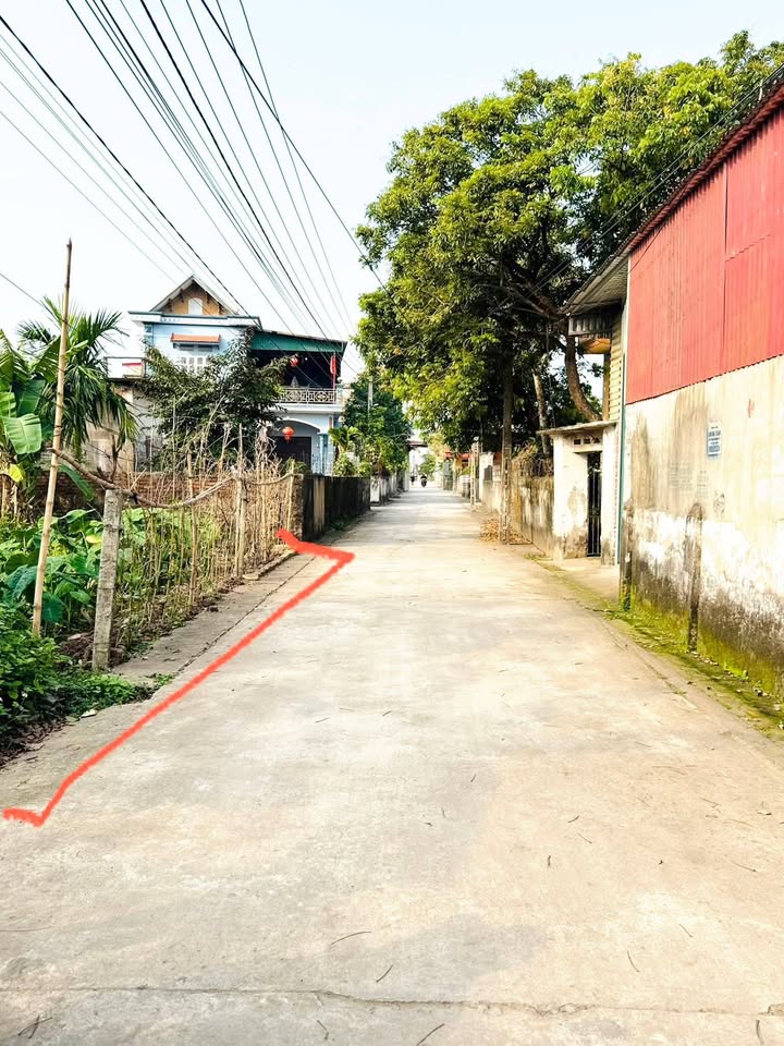 Đất nền Hưng Hà, Thái Bình 214.5m² - Cơ hội xây biệt thự vườn