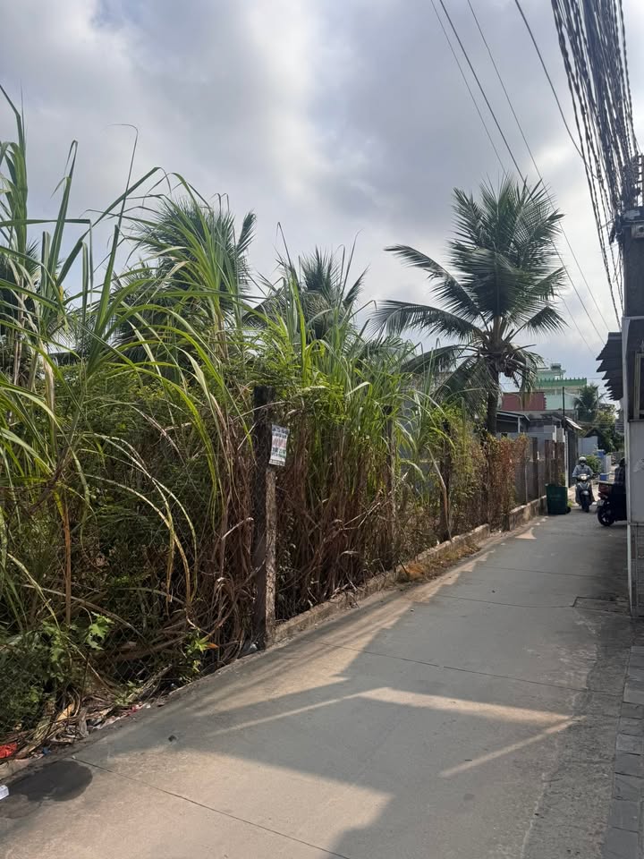 Bán Đất 125m² Phường 5 Mỹ Tho - Full Thổ Cư, Giá 1.55 Tỷ