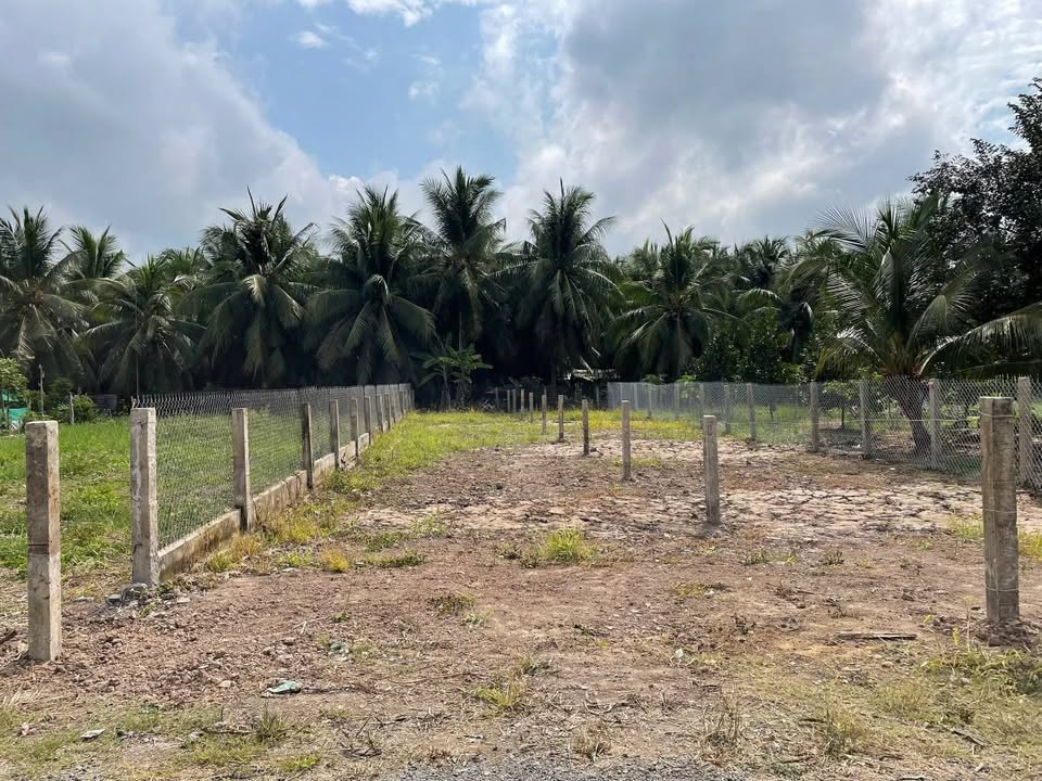 Bán Đất Nền Mặt Tiền Phú Hòa, Chợ Gạo - 175m² Giá 427 Triệu, Gần KCN