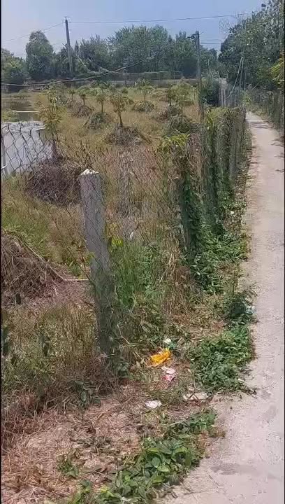 Đất Phú Nhuận Cai Lậy 2.800m² 2.4 tỷ - Sổ đỏ chính chủ