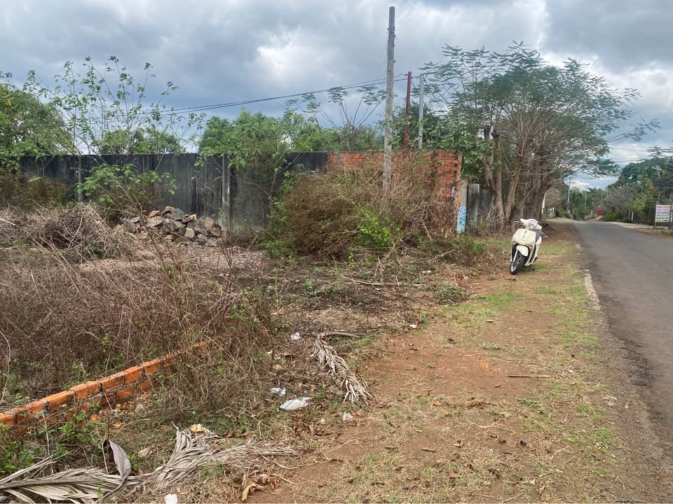 Bán Gấp Đất Nền Mặt Tiền Trục Chính Khánh Xuân, BMT - 350m², 1.78 Tỷ