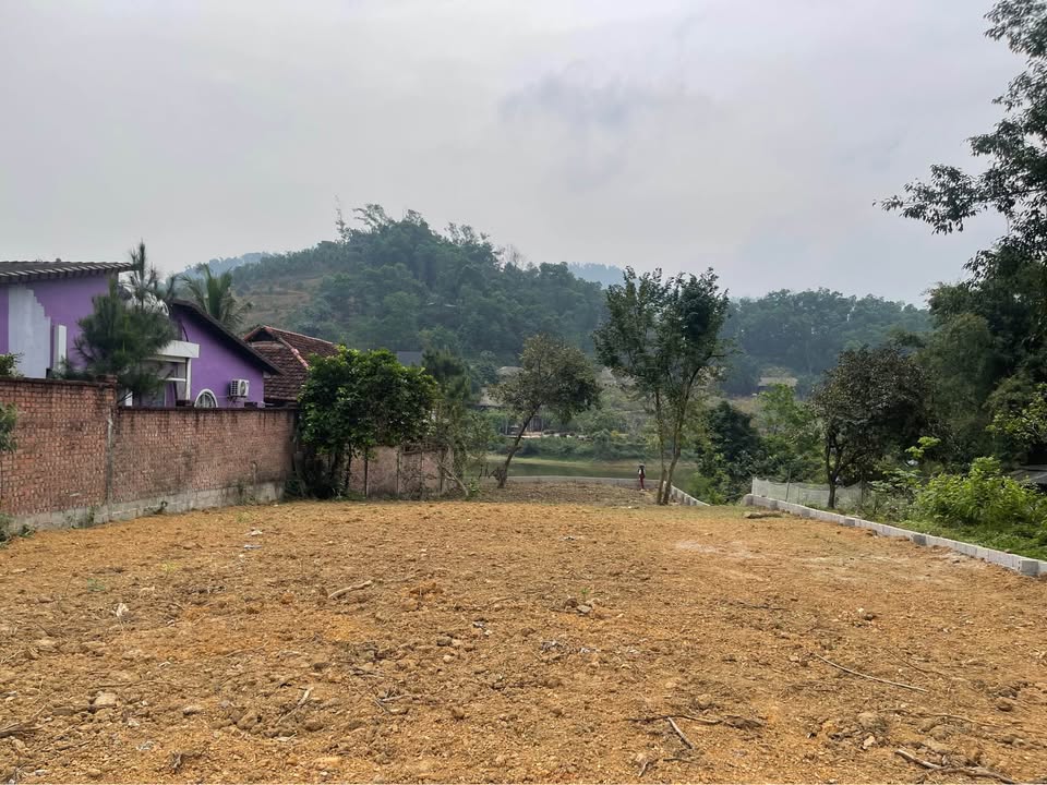 Đất Yên Bài Ba Vì 600m² - Sổ Đỏ Thổ Cư, View Sông Mát Lạnh