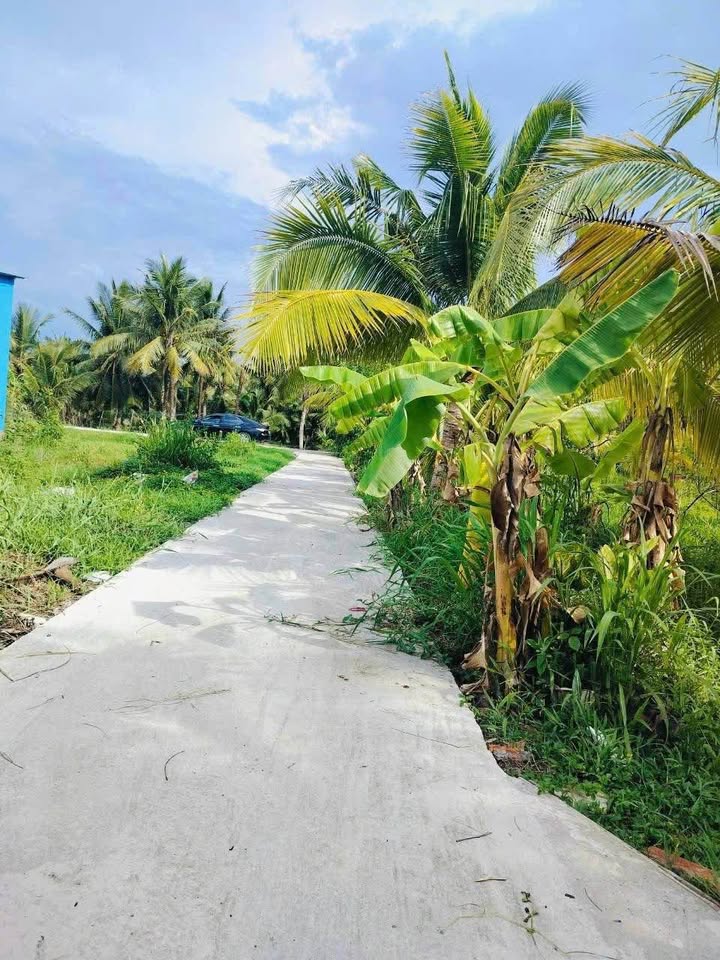 Nhà 748m² Phú Hưng, Bến Tre - Sổ thể hiện đường, Ô tô vào nhà - Giá 1.18 Tỷ