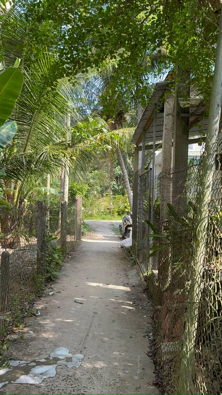 Nhà riêng Xã Thanh Tân Mỏ Cày Bắc 72m² - Sẵn sàng ở ngay!