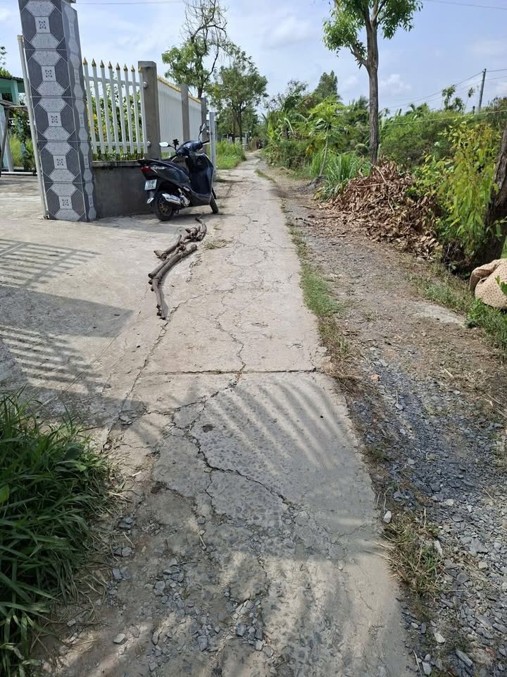 Đất Nền Gò Công Đông 113m² - Sổ Đỏ, Giá 120 Triệu - View Kênh Mát Mẻ