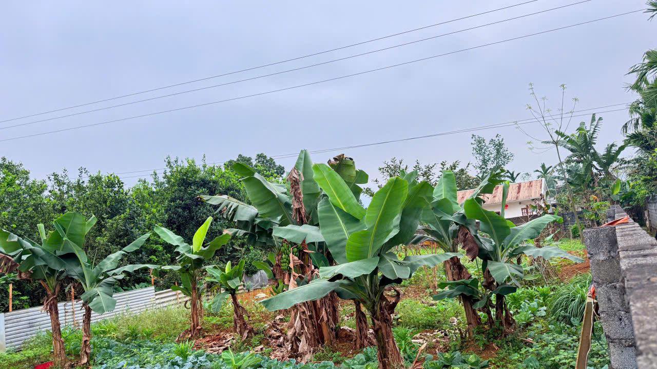 Bán đất nền 322m² Vĩnh Tiến, Kim Bôi, Hòa Bình - Sổ đỏ sẵn sàng