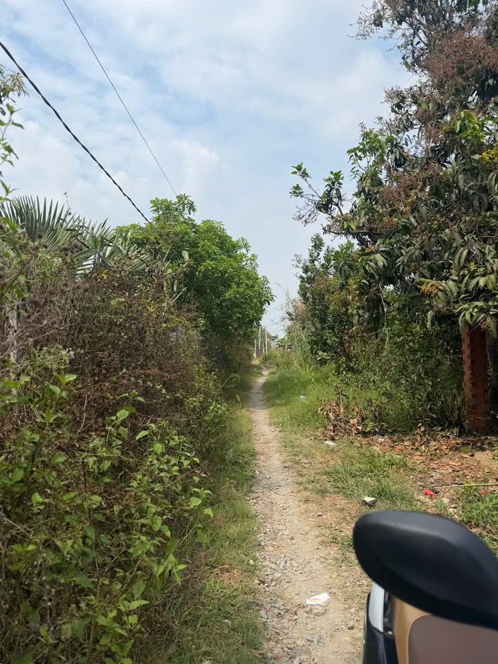 Đất Nền 150m² Trường Đông, Hòa Thành, Tây Ninh - Sổ Hồng Sẵn Sàng