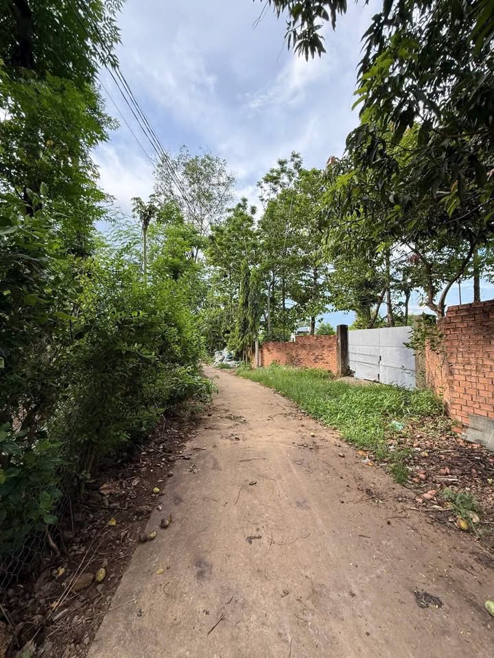 Đất Nền Xã Tân Phú, Đồng Nai 1600m² - Sổ Đỏ Chính Chủ