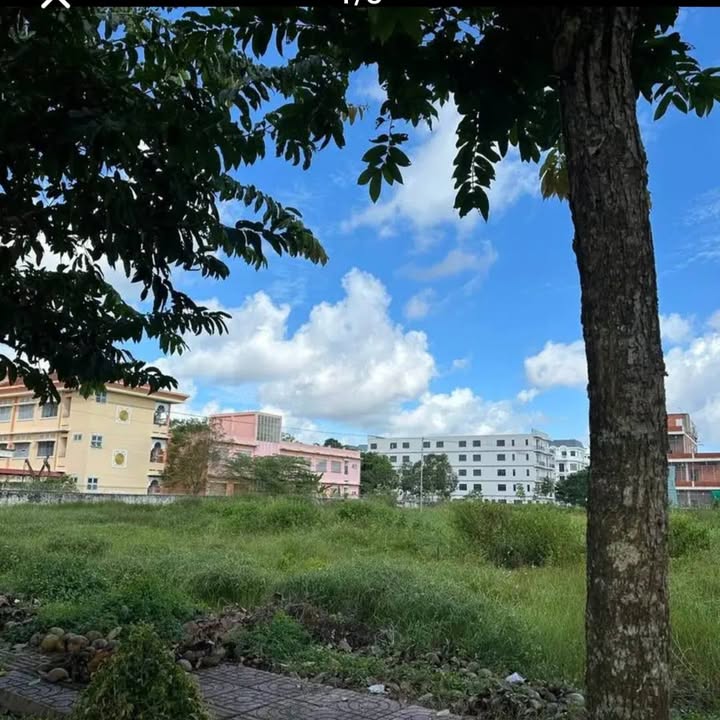 Đất Nền Vĩnh Long 259m² Thổ Cư 100% - Giá 2.6 Tỷ, Sẵn Sàng Xây Biệt Thự Vườn