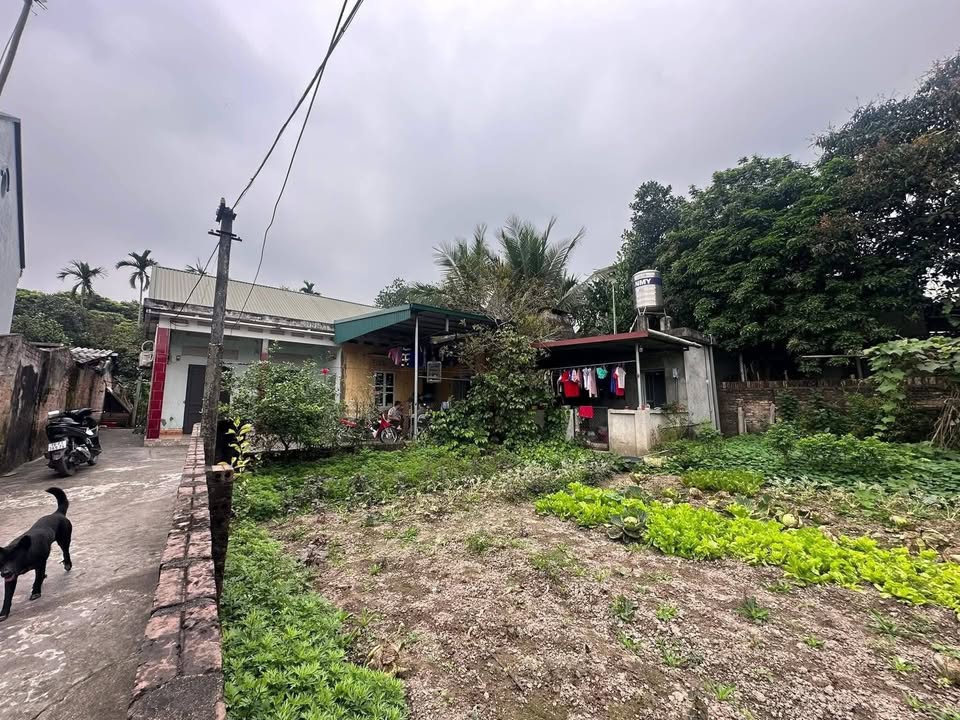 Đất nền Vĩnh Chân Hạ Hoà 600m² - Sổ đỏ chính chủ, giá chỉ hơn 1 tỷ