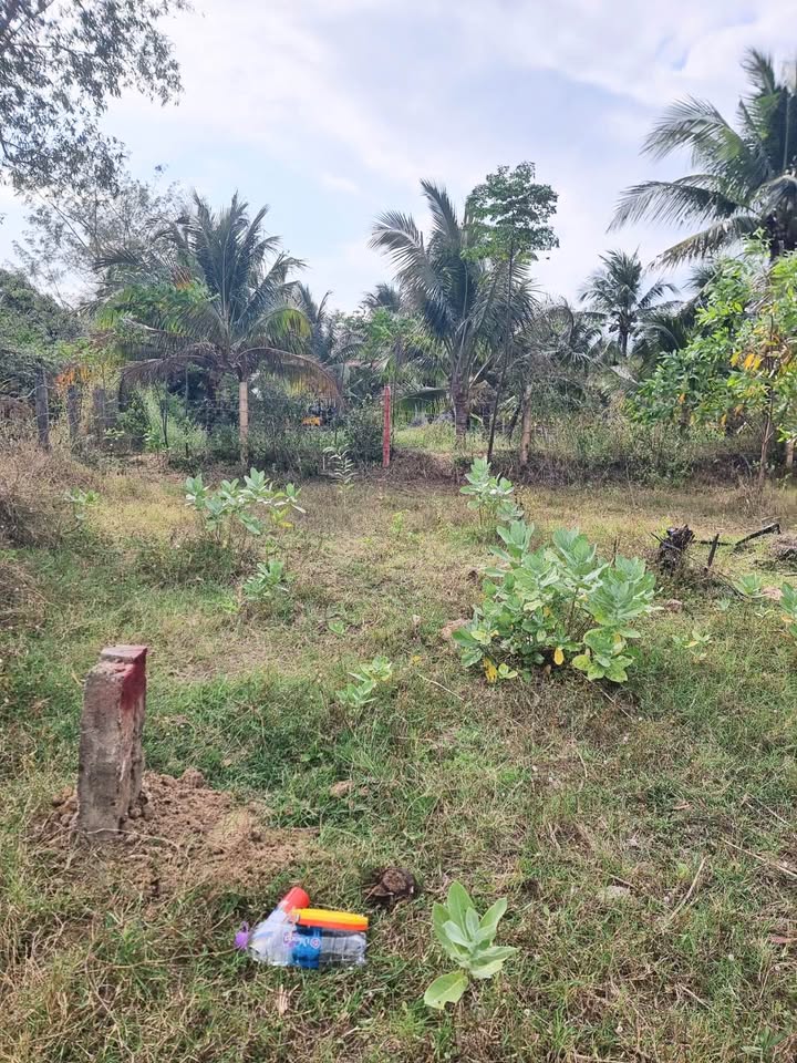 Bán Đất Nền 264m² Thôn Tân Hiệp, Ninh Hòa - 300 Triệu/Lô