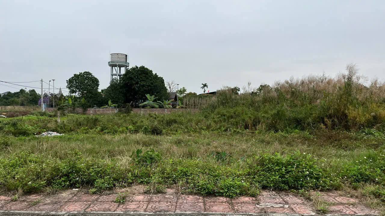 Đất nền Đông Cường, Đông Hưng 470m² - Sổ đỏ chính chủ