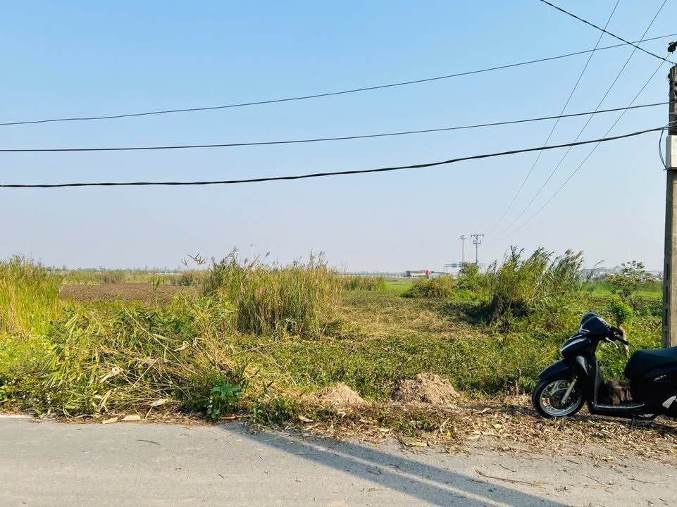 Đất nền Thôn Xuân La, Thái Phương, Hưng Hà 100m² - Tiềm năng tăng giá vượt trội!