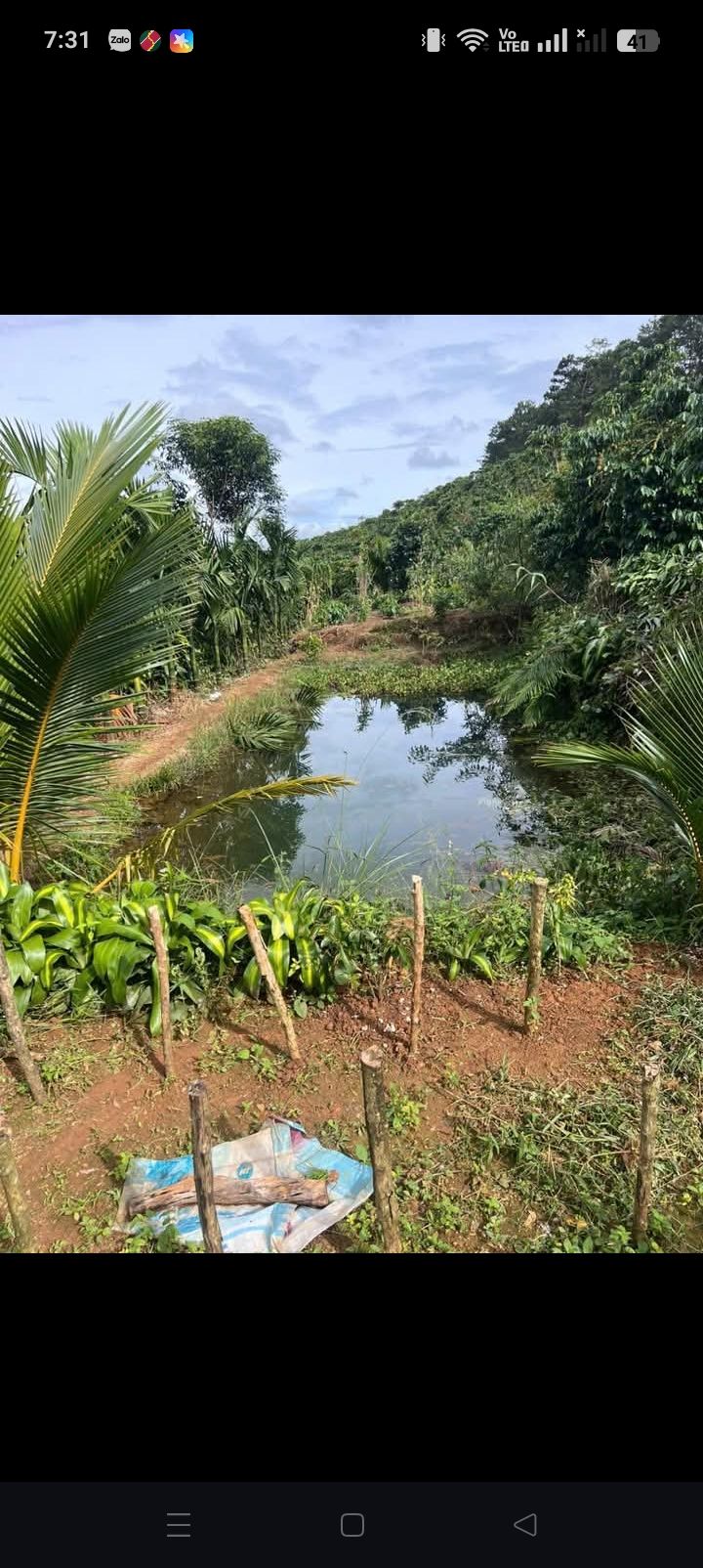 Đất Farm Bình Thạnh, Đức Trọng 1800m² giá 1.7 tỷ - Nghỉ dưỡng lý tưởng!