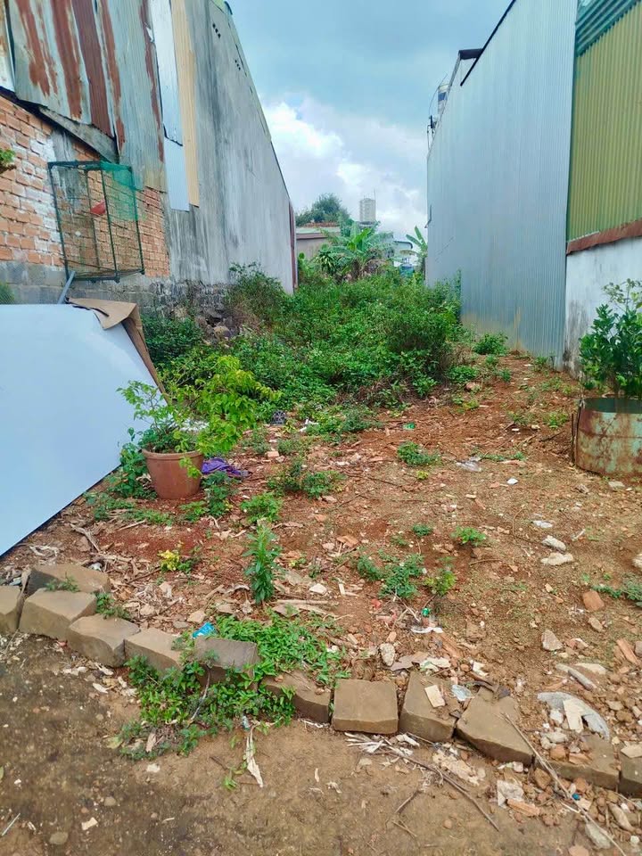 Bán Đất Bảo Lộc 110m² Sổ Đỏ Full Thổ Cư, Giá Ngộp 990 Triệu