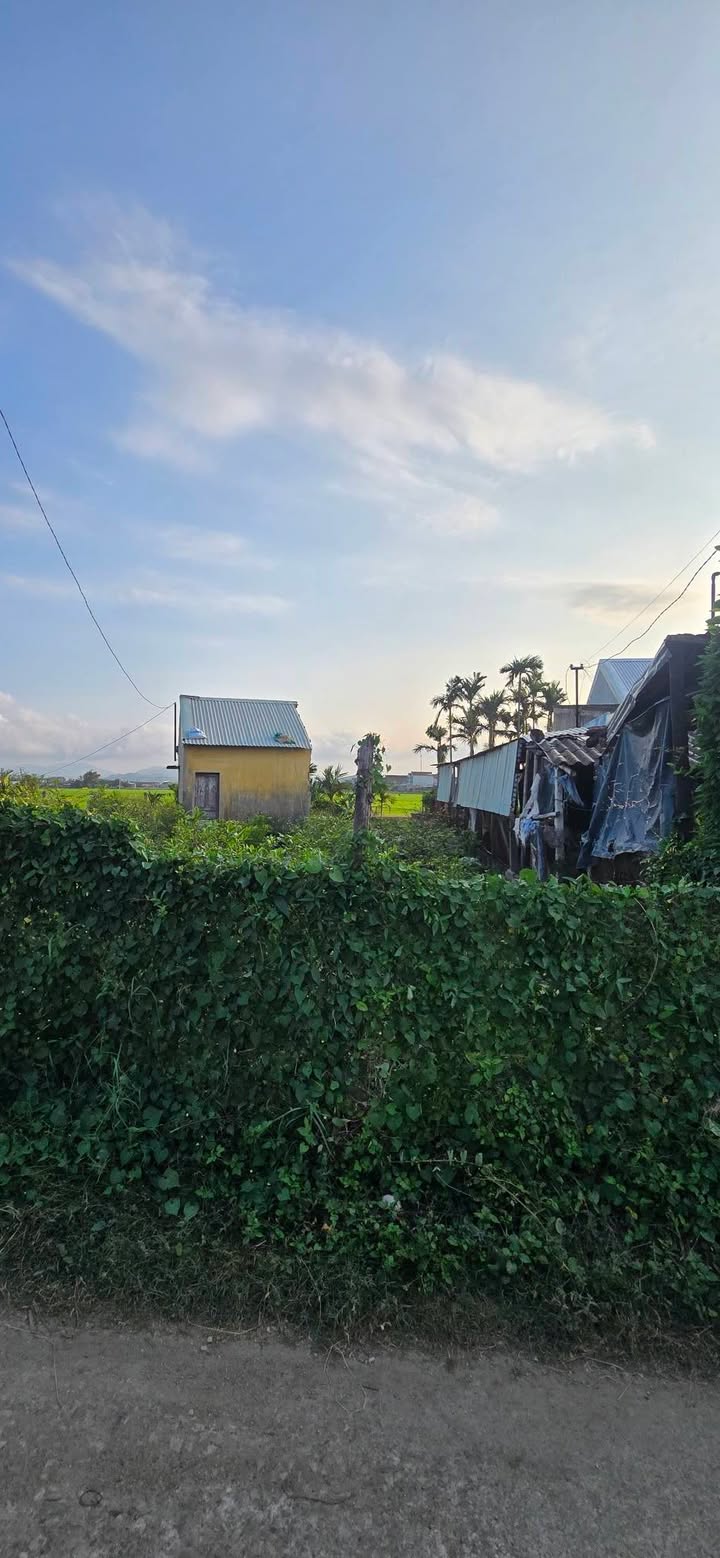 Đất nền Phước Hiệp, Tuy Phước 75m² - Giá đầu tư tốt!