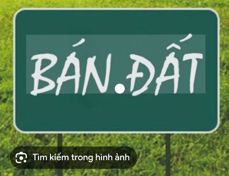 Đất nền Hoài Thanh, Hoài Nhơn 1000m² - Tiềm năng tăng giá vượt trội!