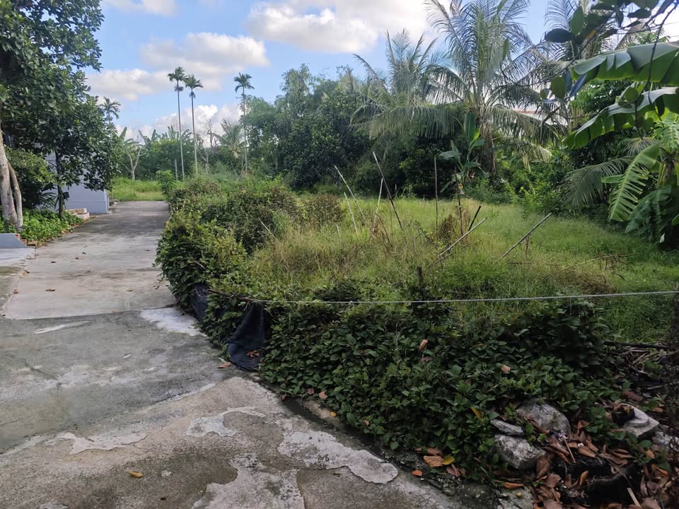 Đất nền Thủy Nguyên 68.5m² - 80.4m² | Sổ đỏ chính chủ, ô tô vào nhà