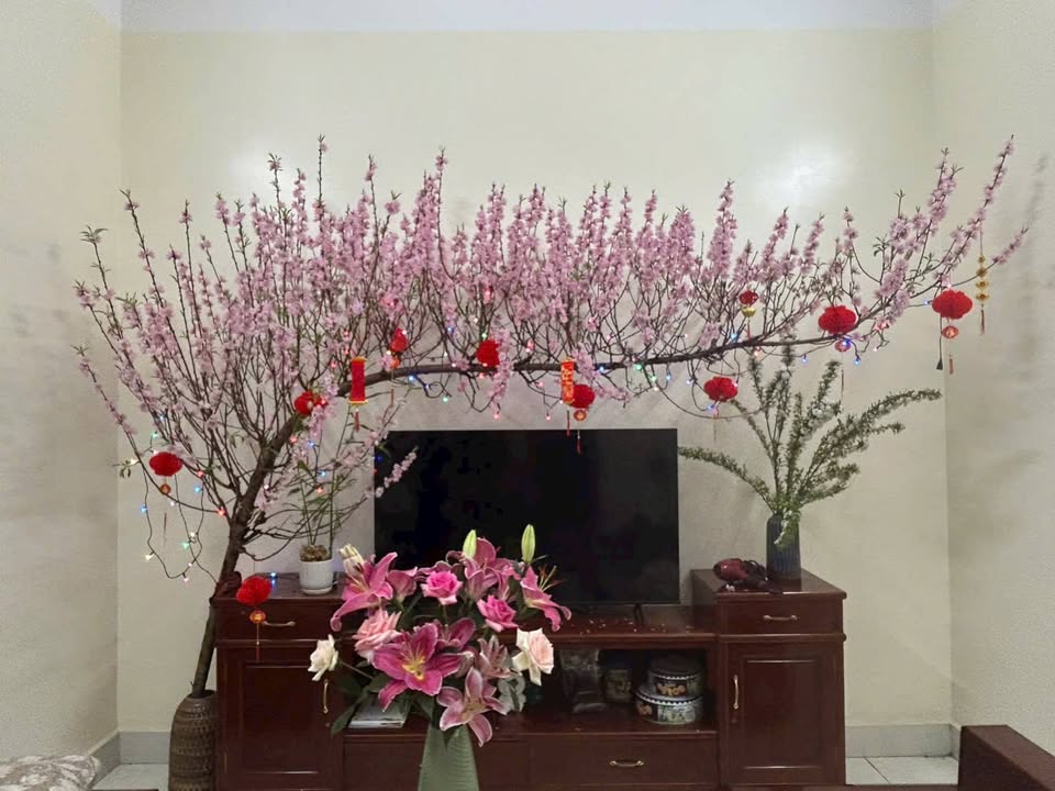 Đất nền Bắc Sông Cấm, Thủy Nguyên 105m² - Tiềm năng tăng giá vượt trội!