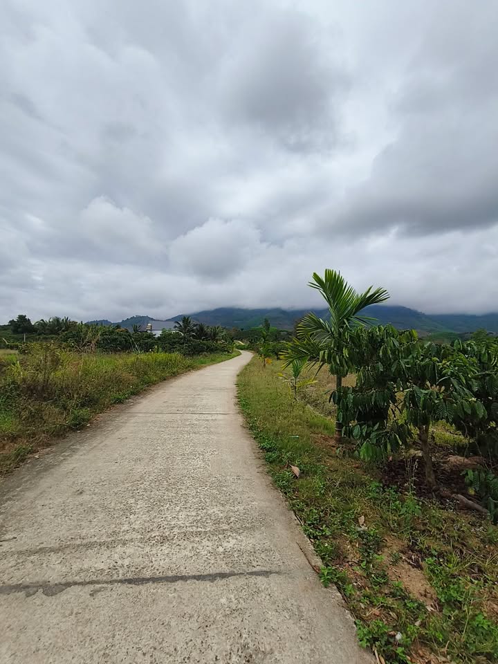 Đất Vườn Đắk Lắk 36000m² - Có Sẵn Nguồn Thu Cà Phê, Sổ Hồng Thổ Cư