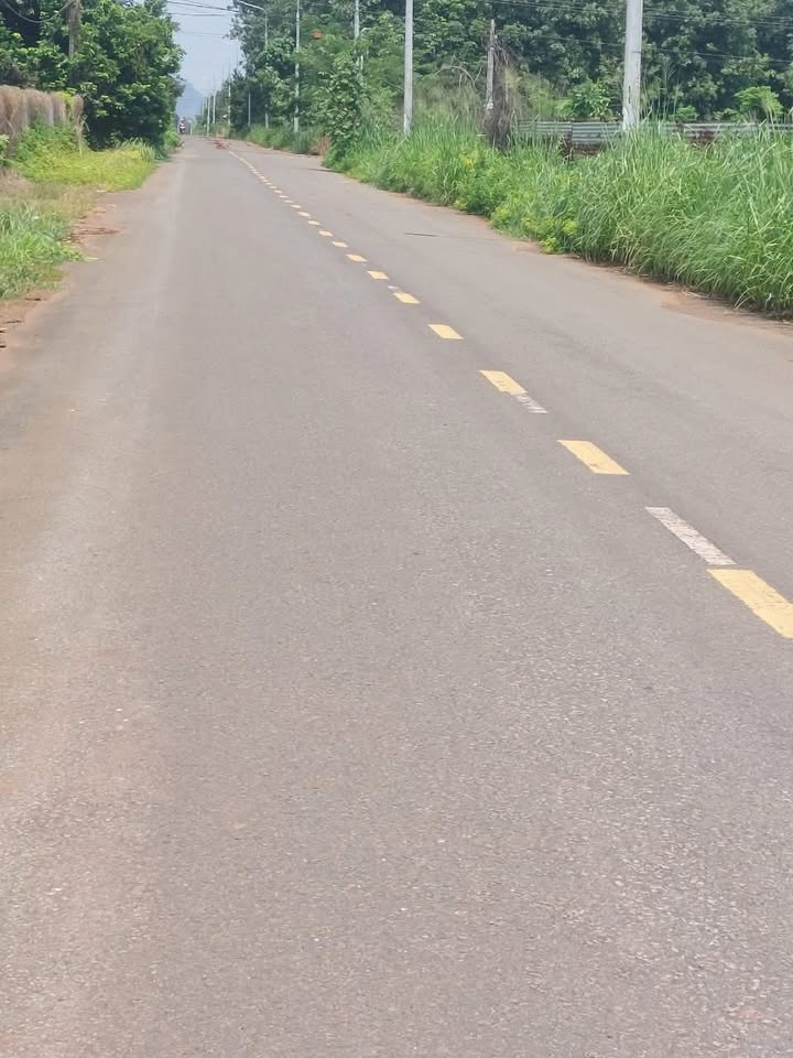 Bán Gấp 14.000m² Đất Mặt Tiền Nhựa Lạc Sơn, Đồng Nai - Giá F0 133 Tỷ