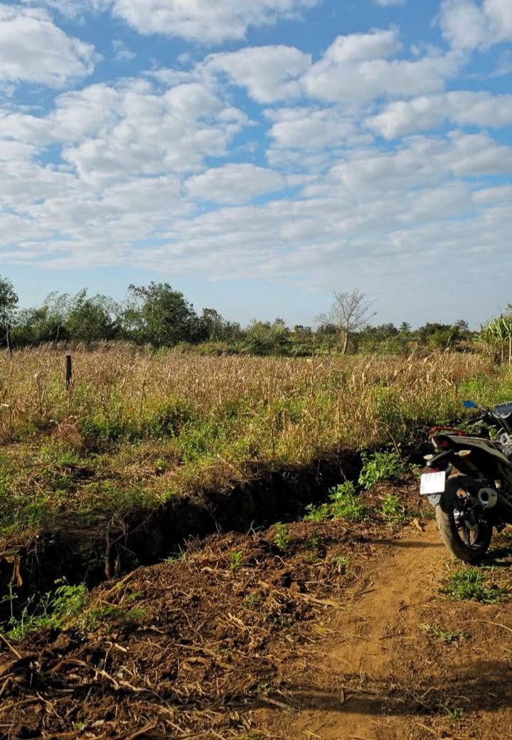 Bán Đất Nền Cư M'gar 612m² - Sổ Đỏ Chính Chủ, Giá Tốt Đầu Tư