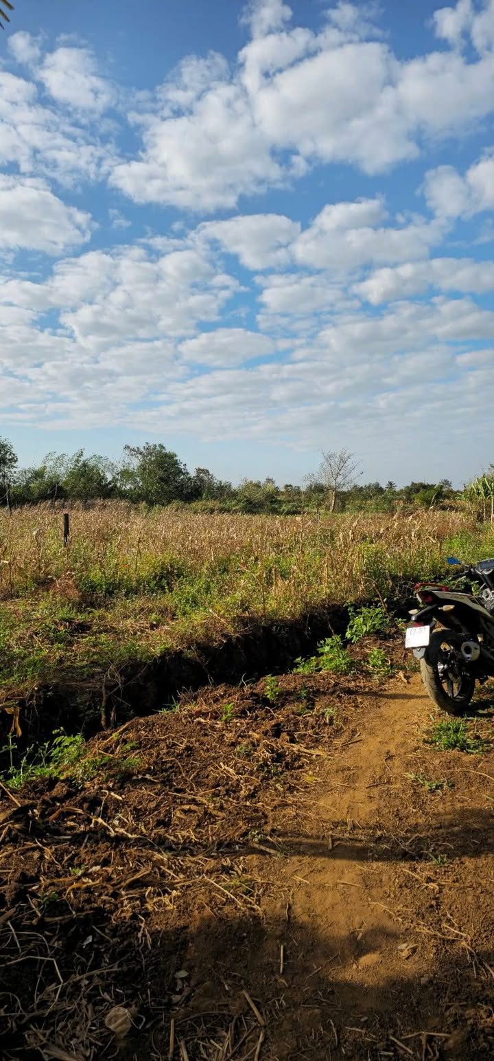 Đất nền Đắk Lắk - 612m² Thôn 3 Eamnang, Cư M'gar - Giá 500 Triệu