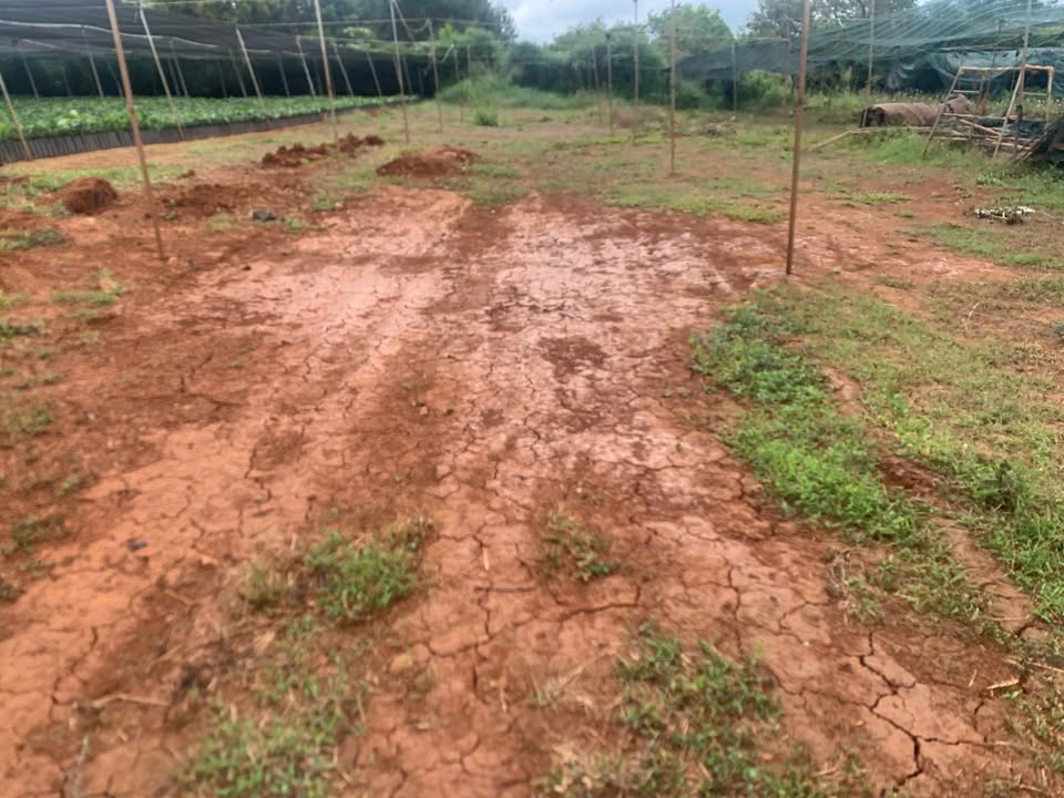 Đất nền Hòa Thắng 5000m² TP Buôn Ma Thuột - Tiềm năng tăng giá vượt trội!