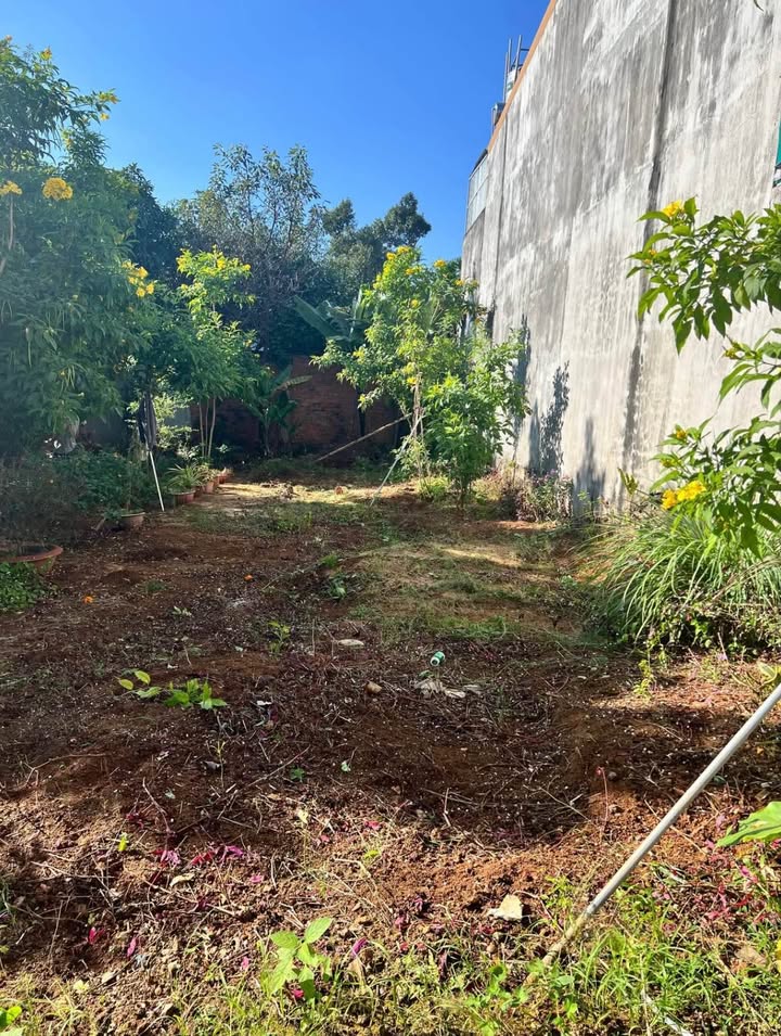 Đất Thổ Cư Trung Tâm Huyện Krông Pắc - 95m² - Giá Tốt 2.3 Tỷ