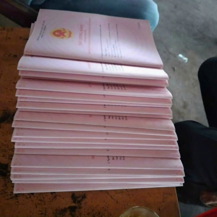 Đất nền Long Nguyên, Bàu Bàng 200m² - Tiềm năng tăng giá vượt trội!