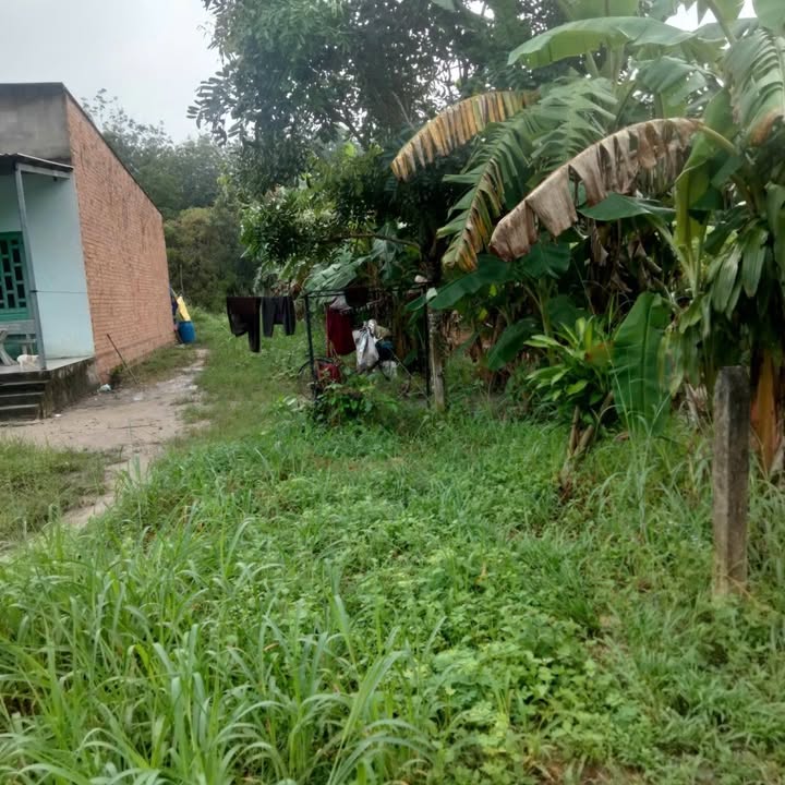 Đất nền Dĩ An 55100m² 900 triệu - Sổ đỏ chính chủ