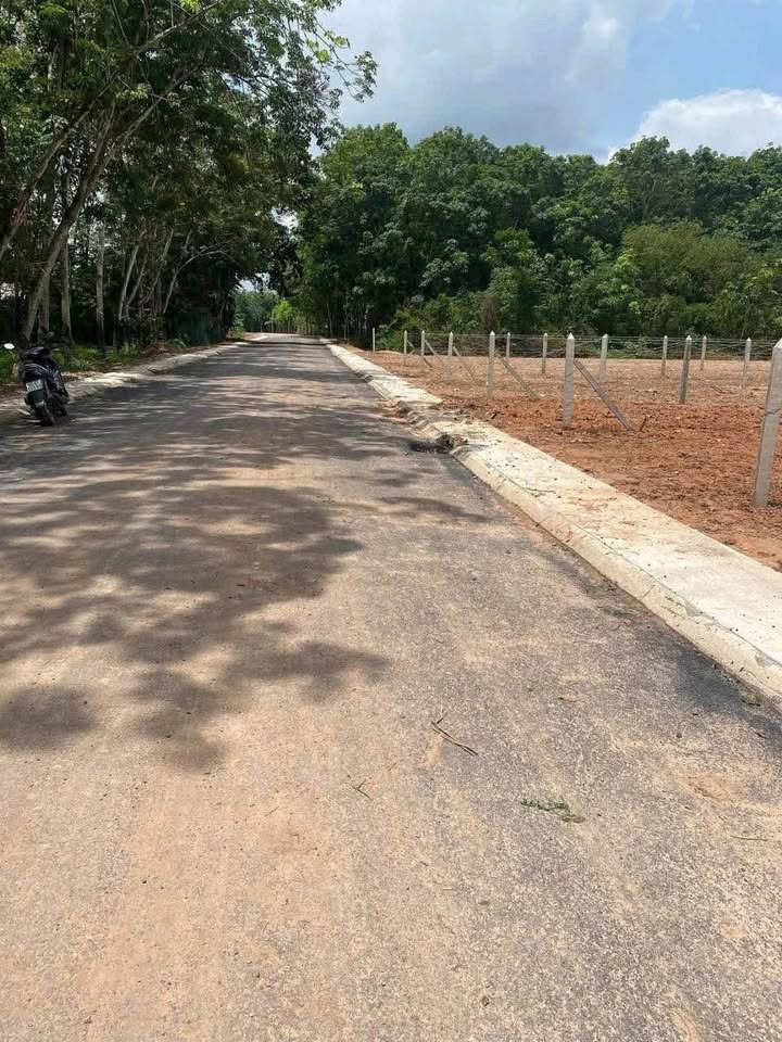 Đất nền Bến Cát 161m² - Vị trí vàng, tiềm năng tăng giá vượt trội!